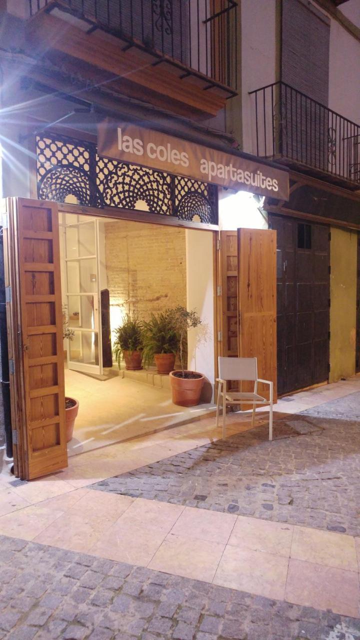 Las Coles Apartasuites Xàtiva Екстериор снимка